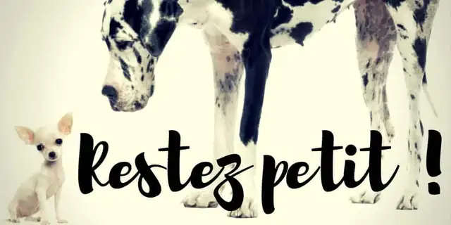 Ecommerçants, Restez Petits !