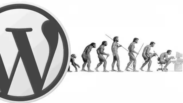 Historique WordPress – 10 ans – b2 cafelog à WordPress 3.2