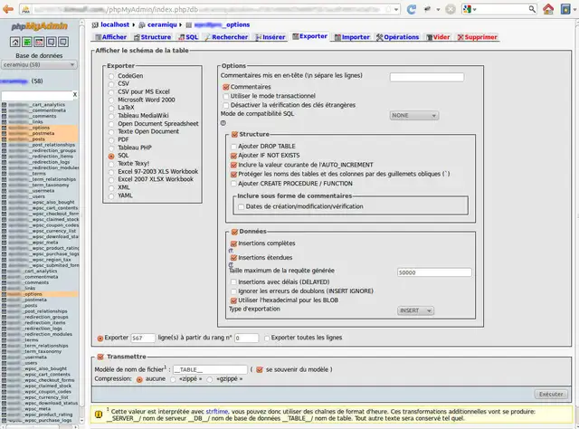 migration-wordpress-2
