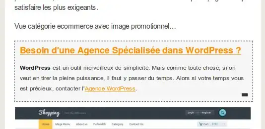 wpml-plugins-essentiels-10